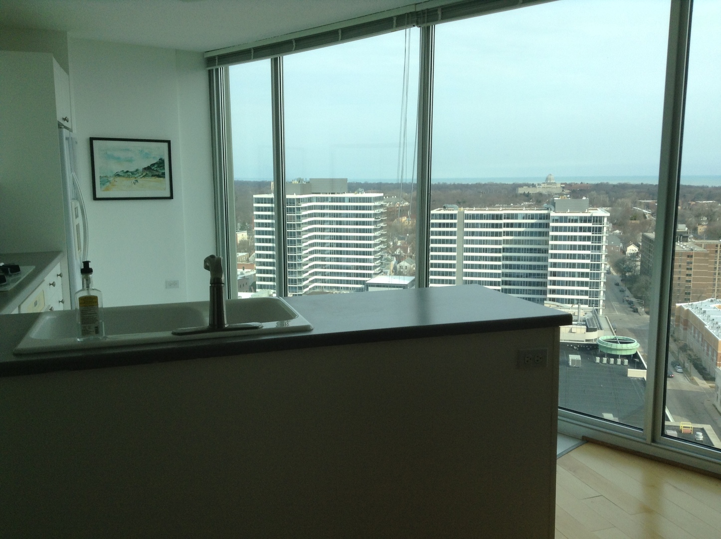 1720 Maple Avenue, Unit 2120 Evanston, IL 60201 - Photo 8 of 21 a view of a sink and a window