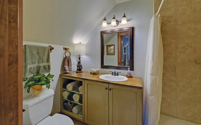 a bathroom with a sink toilet a shower and a mirror