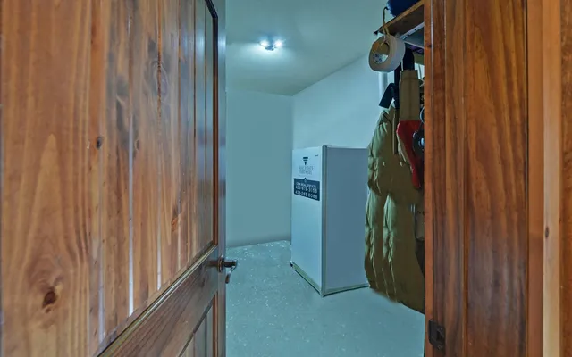 a view of a lush green forest