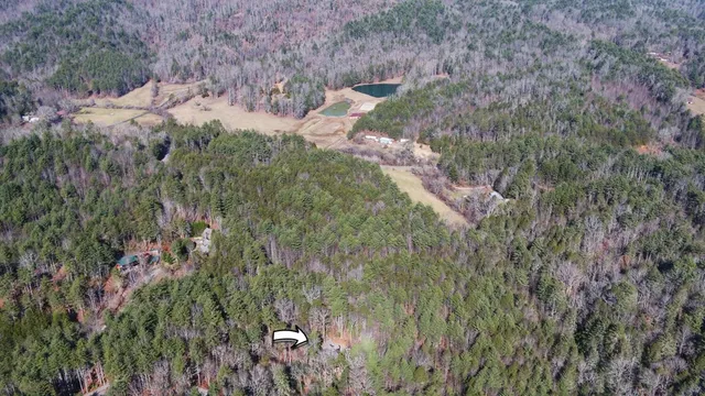 $599,900 | 483 Vineyard Creek Way, Murphy, NC 28906