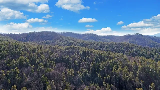 $599,900 | 483 Vineyard Creek Way, Murphy, NC 28906