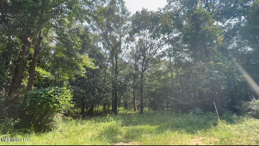 Tbn City Road Perkinston, MS 39573 - Photo 1 of 1 View from City Bridge Rd