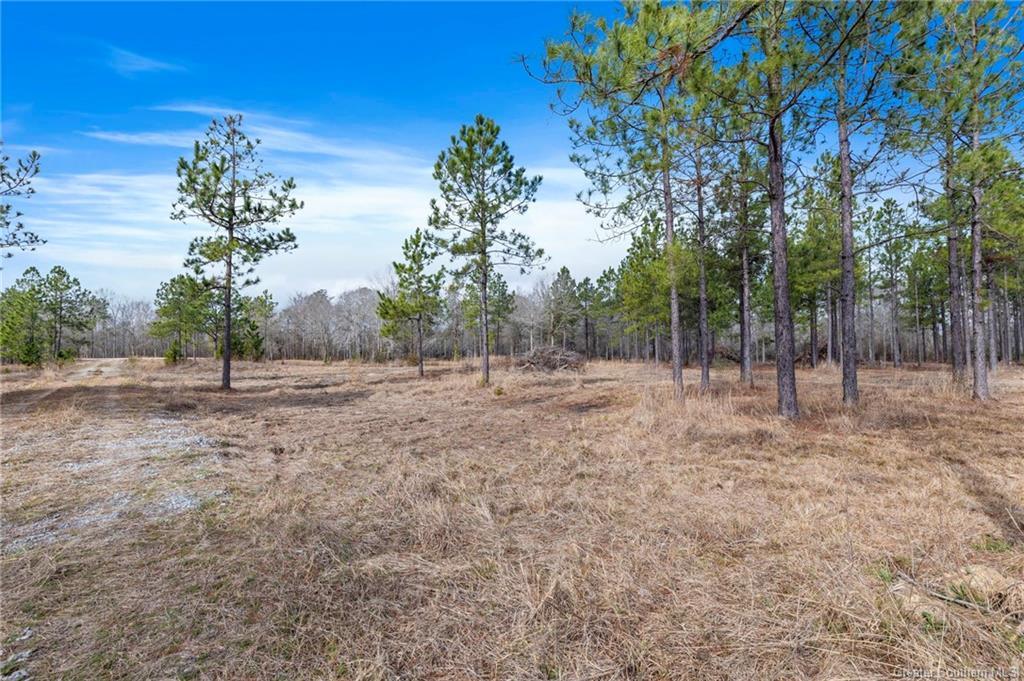 Conway Rosteet Road Ragley, LA 70657 - Photo 1 of 15 Gallery Image 1