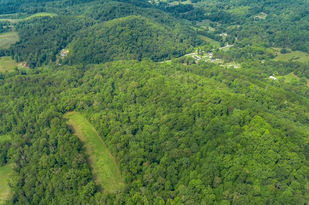 3301 Joppa Mountain Road Rutledge, TN 37861 - Photo 41 of 50 Gallery Image 41