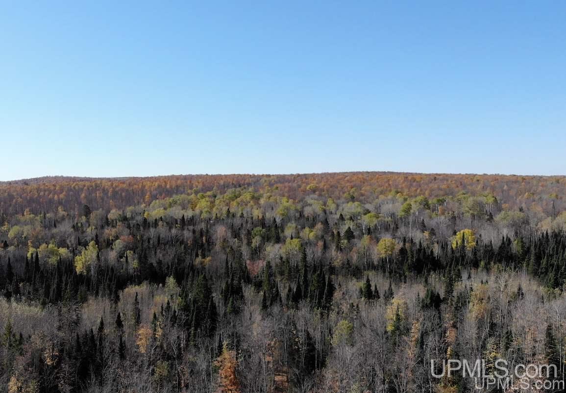 Tbd Ford Farm Road Skanee, MI 49962 - Photo 4 of 27