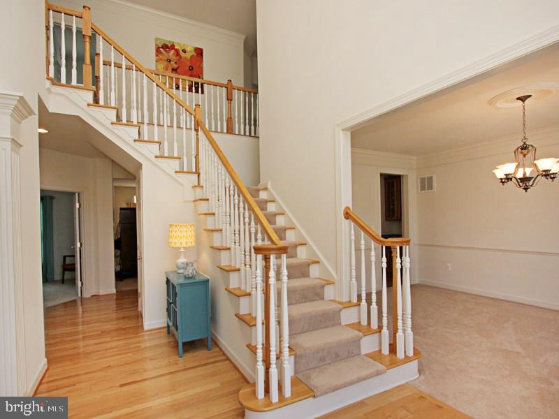 31768 Skimmer Road Ocean View, DE 19970 - Photo 35 of 47 Gallery Image 35