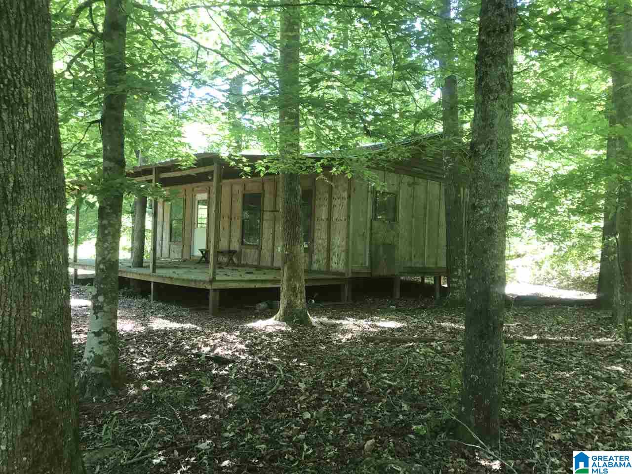 31 County Road Ashland, AL 36251 - Photo 23 of 38