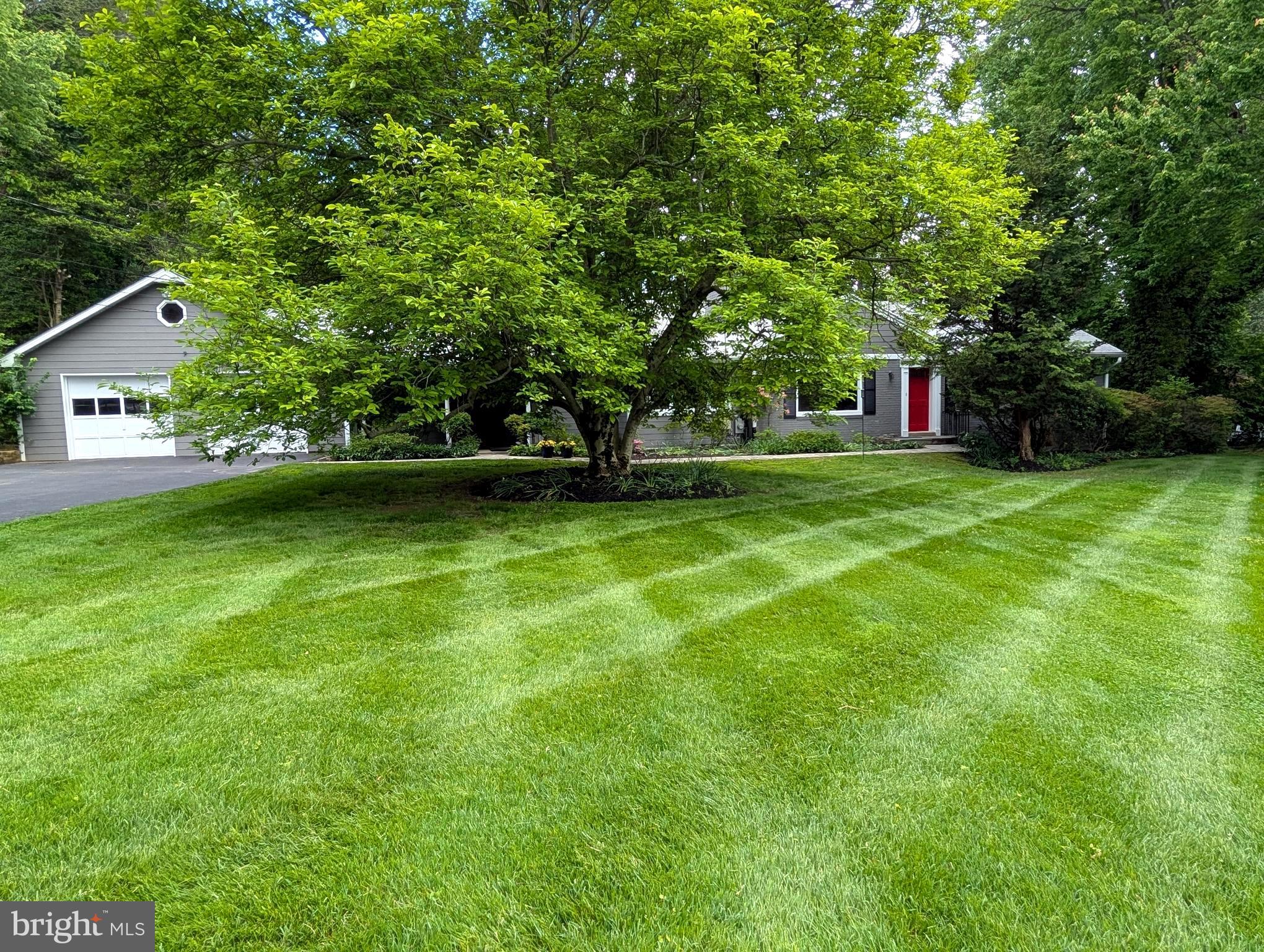 701 Notley Road Silver Spring, MD 20904 - Photo 11 of 60 a view of a house with a big yard