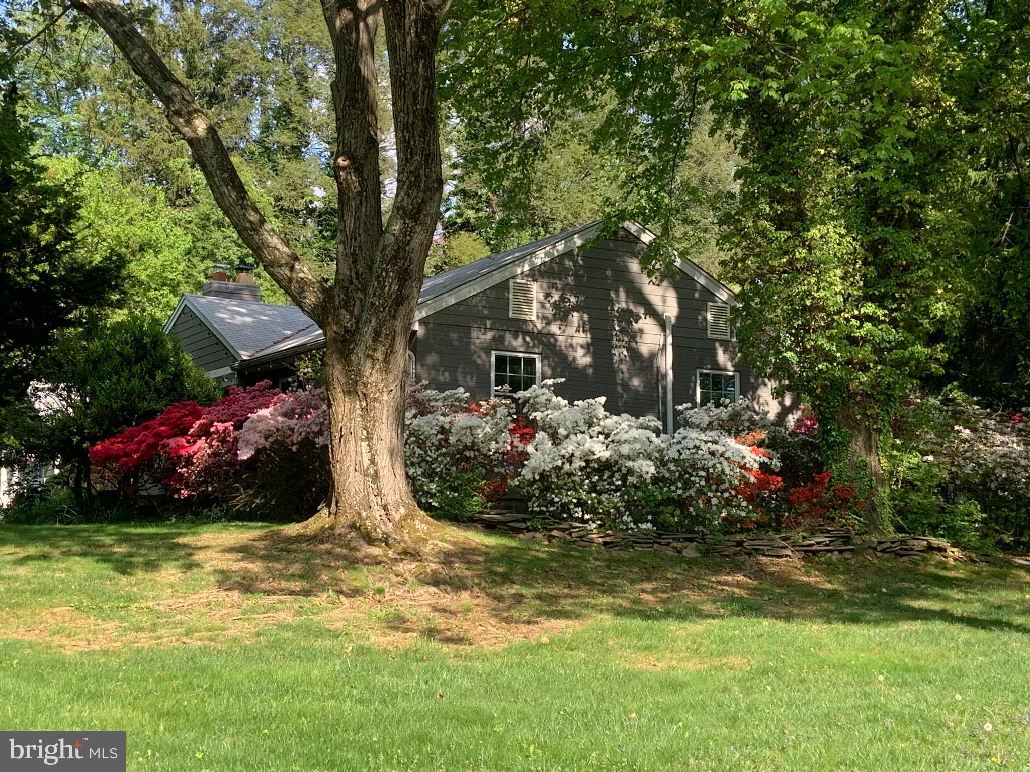 701 Notley Road Silver Spring, MD 20904 - Photo 12 of 60 Side azaleas