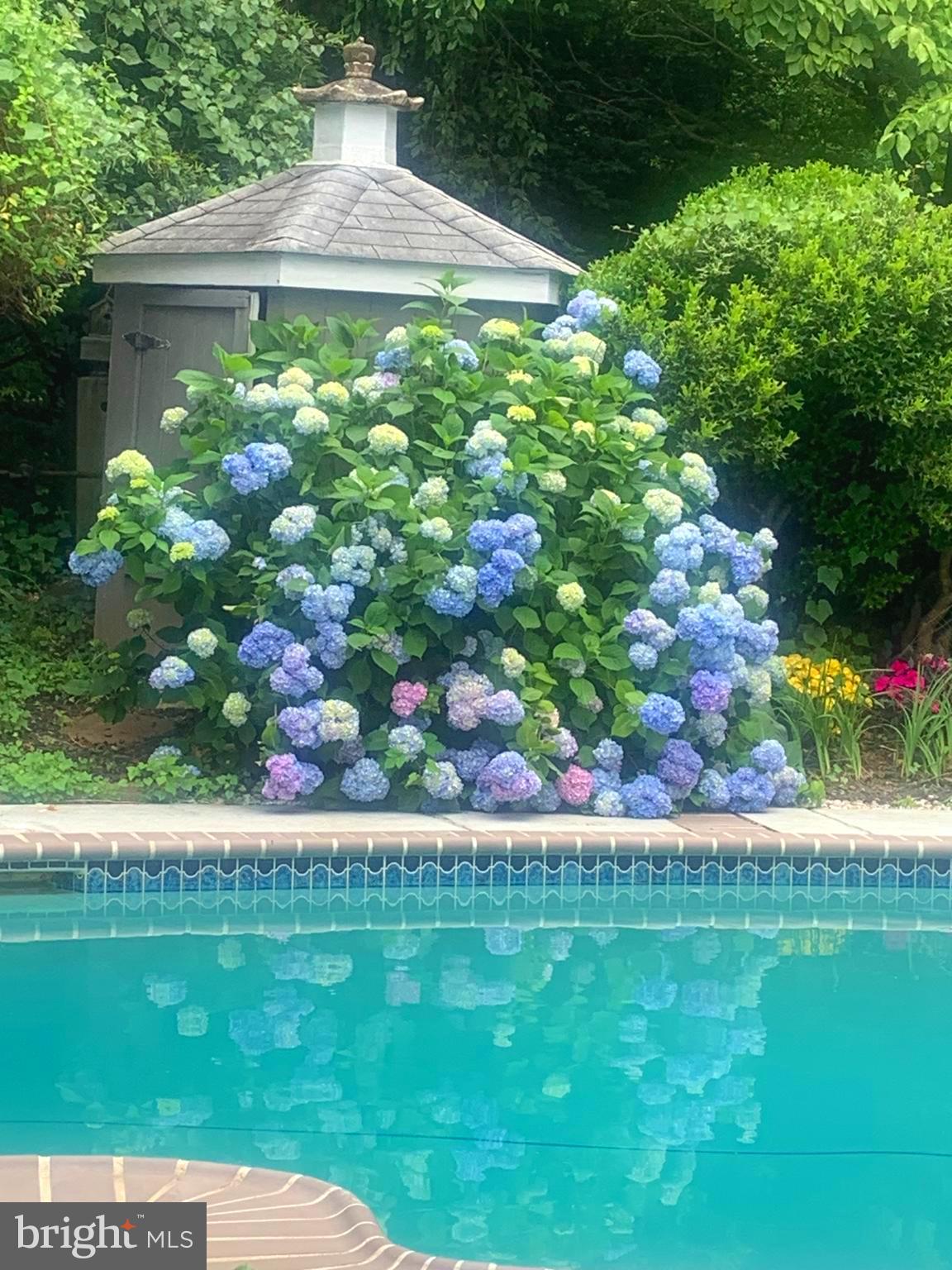 701 Notley Road Silver Spring, MD 20904 - Photo 42 of 60 a view of a garden and a yard