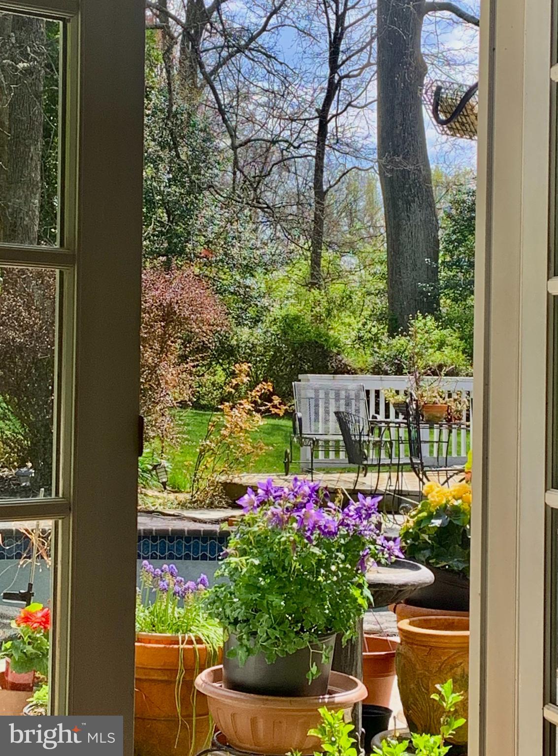 701 Notley Road Silver Spring, MD 20904 - Photo 43 of 60 a view of a potted flower in a yard