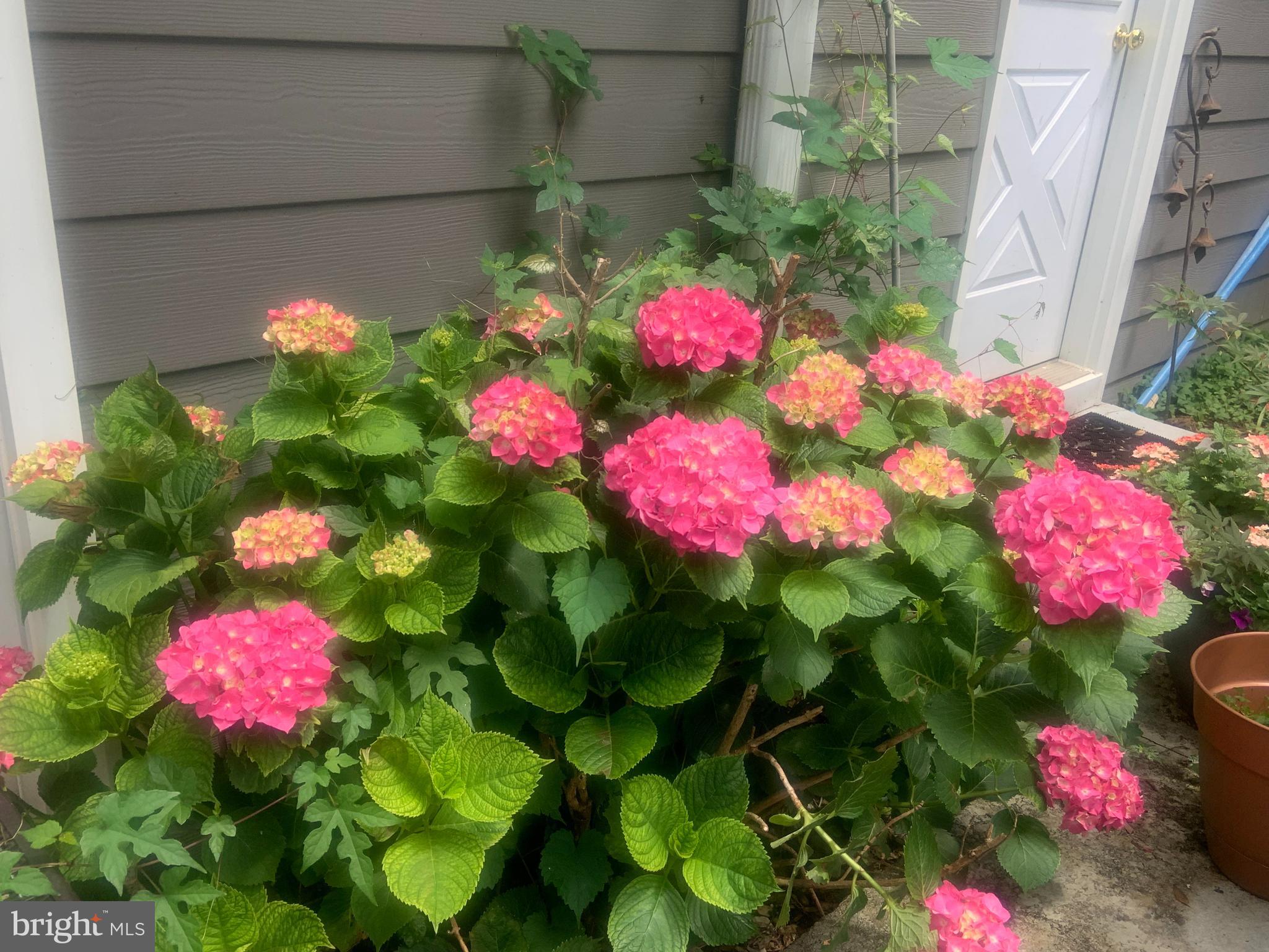 701 Notley Road Silver Spring, MD 20904 - Photo 44 of 60