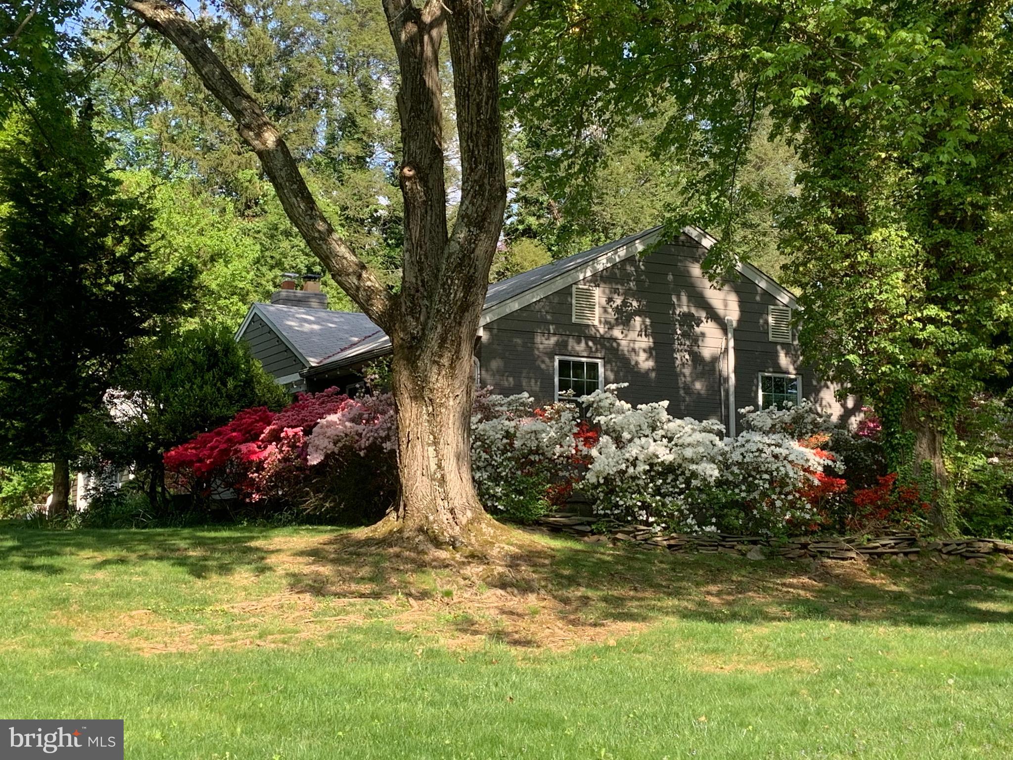 701 Notley Road Silver Spring, MD 20904 - Photo 49 of 60 a view of a wooden house with a yard