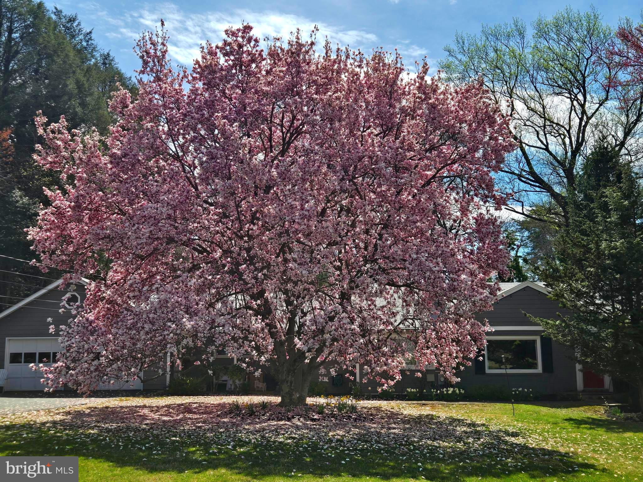 701 Notley Road Silver Spring, MD 20904 - Photo 10 of 60 a front view of a house with a yard