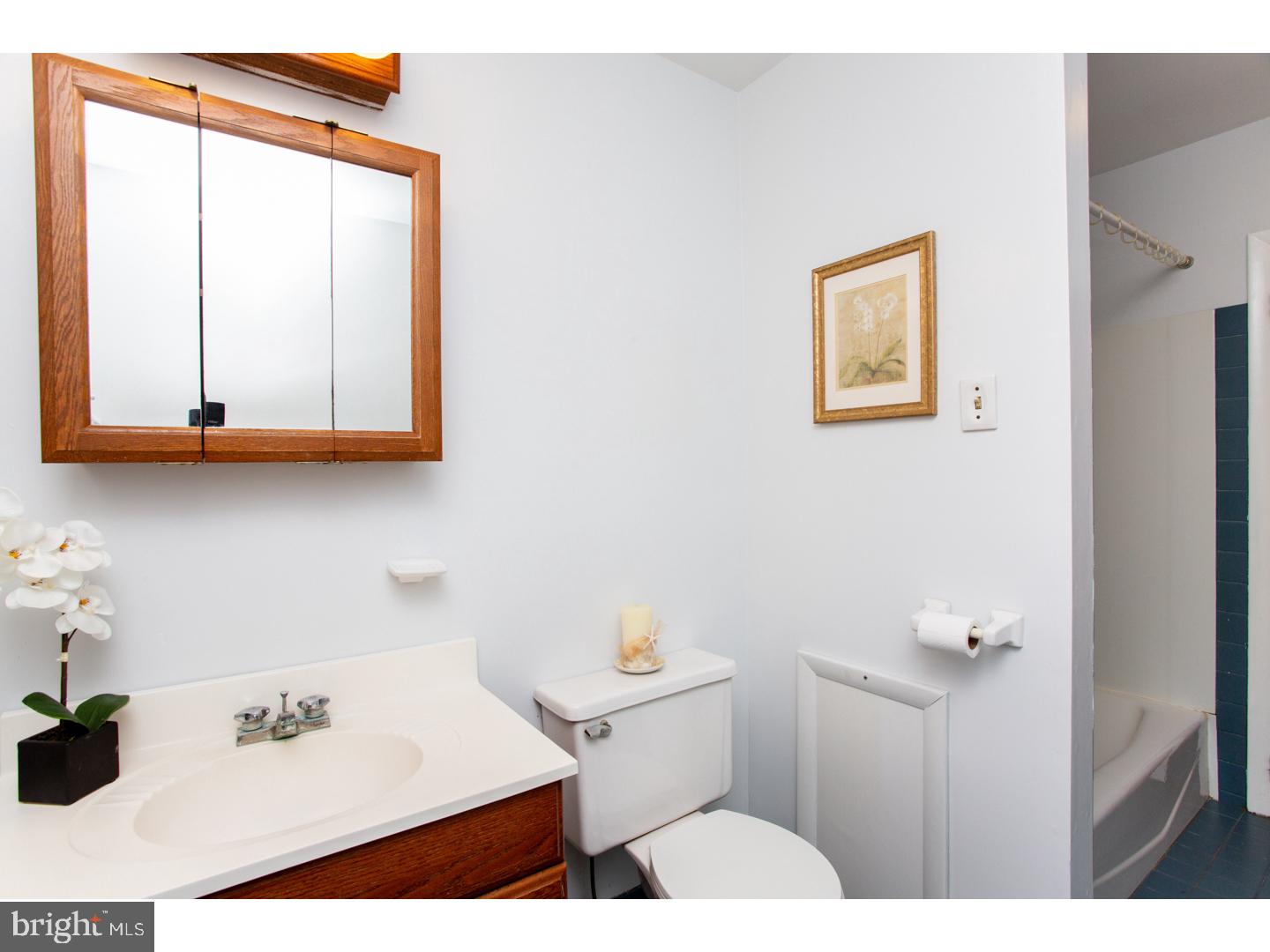 110 Blue Jay Road Chalfont, PA 18914 - Photo 9 of 25 Bathroom