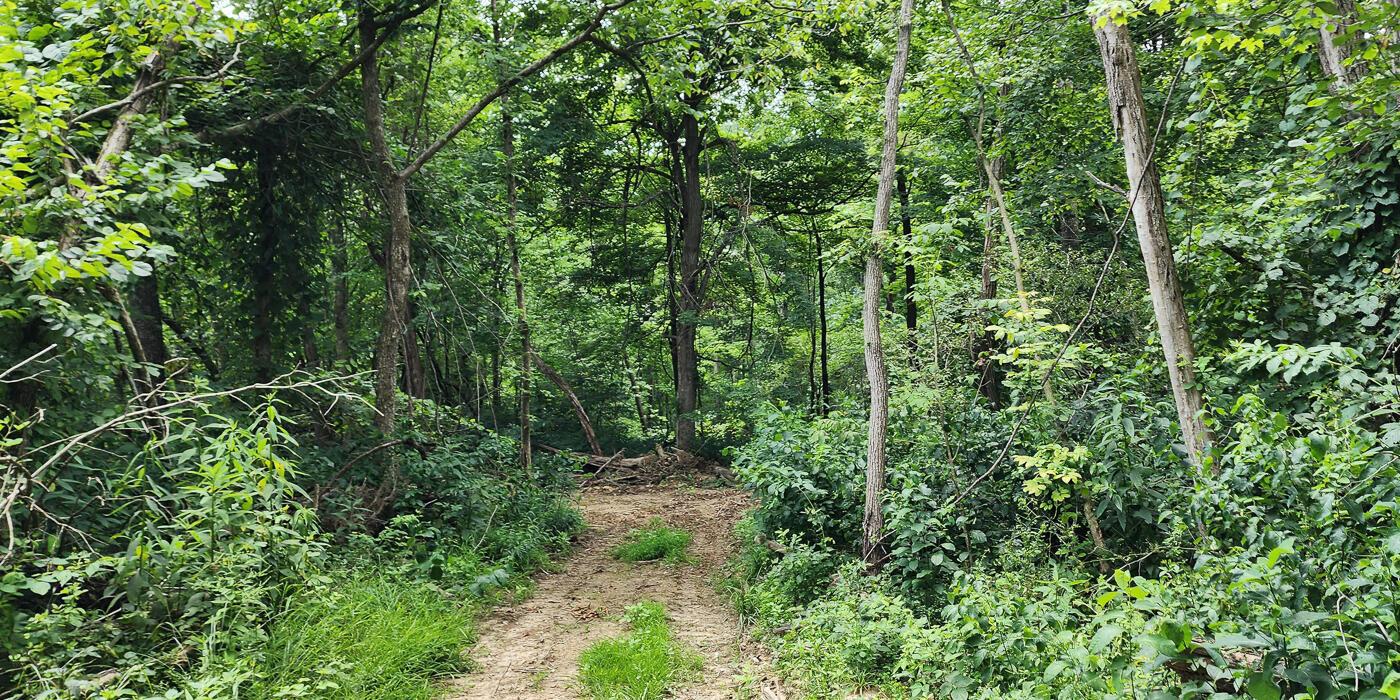 0 Back Run Road, Unit TRACT 1) Philo, OH 43771 - Photo 28 of 53 CT-26