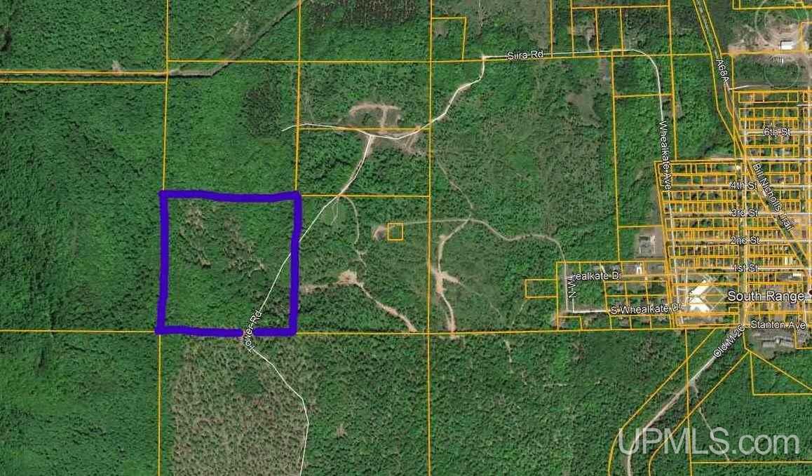 Tbd Tower Road South Range, MI 49963 - Photo 1 of 3