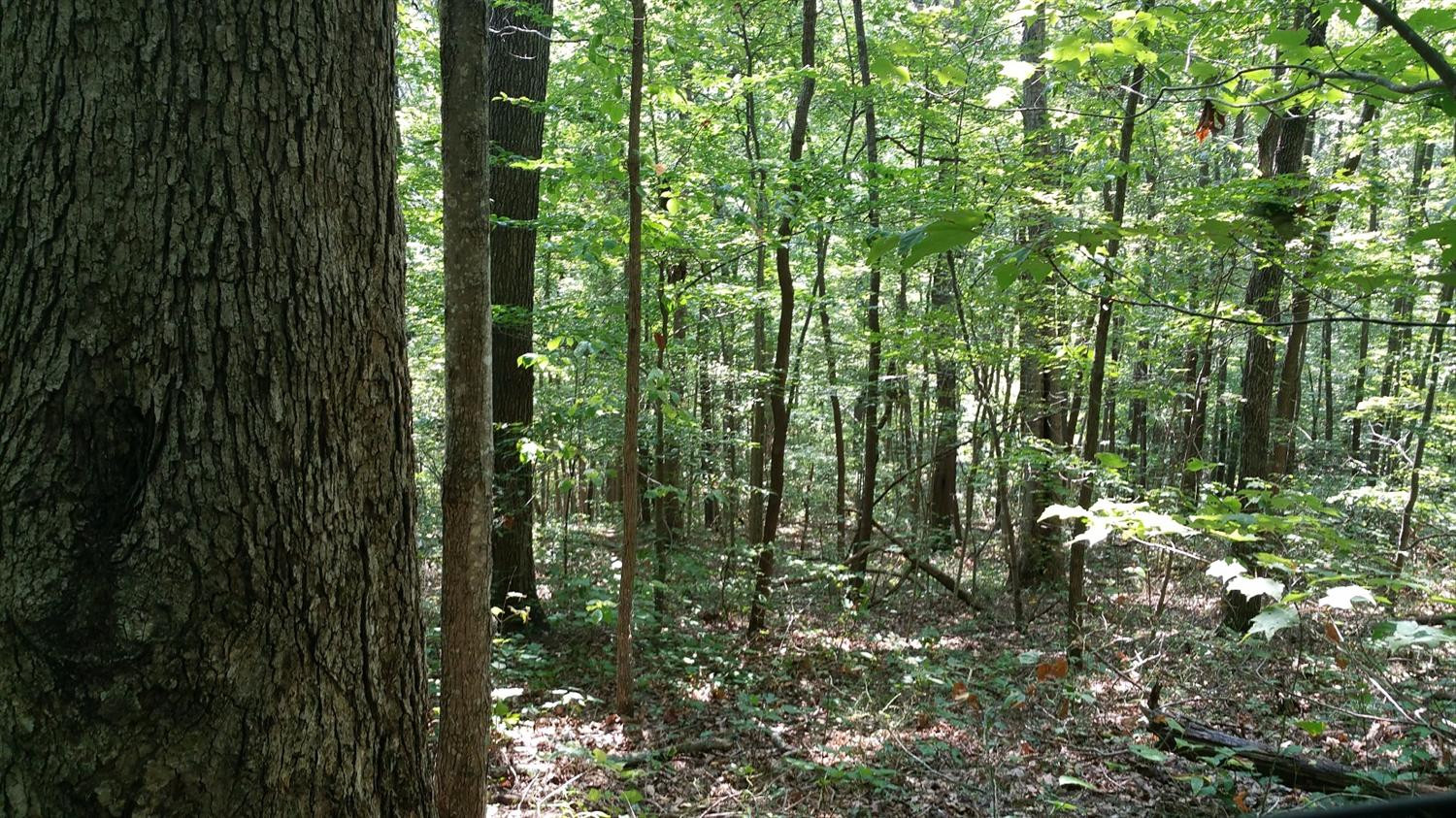 100 Big Sandy Road Mount Vernon, KY 40456 - Photo 28 of 34 Photo 28
