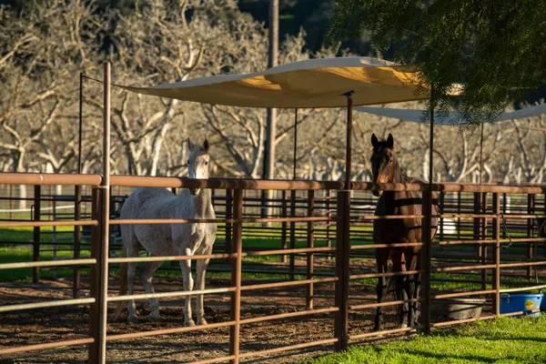 $5,900,000 | 8669 Santa Rosa Road, Buellton, CA 93427