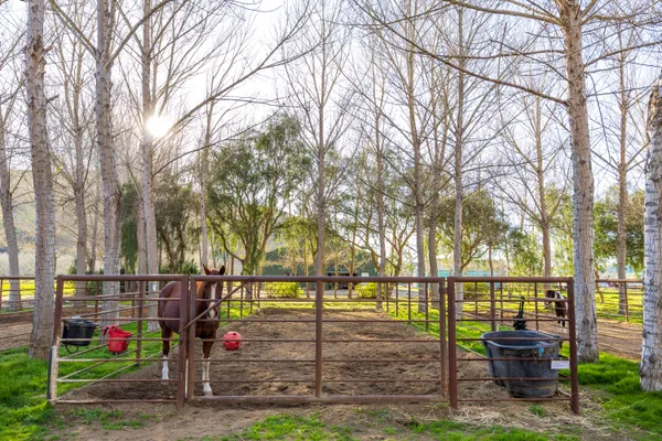 $5,900,000 | 8669 Santa Rosa Road, Buellton, CA 93427