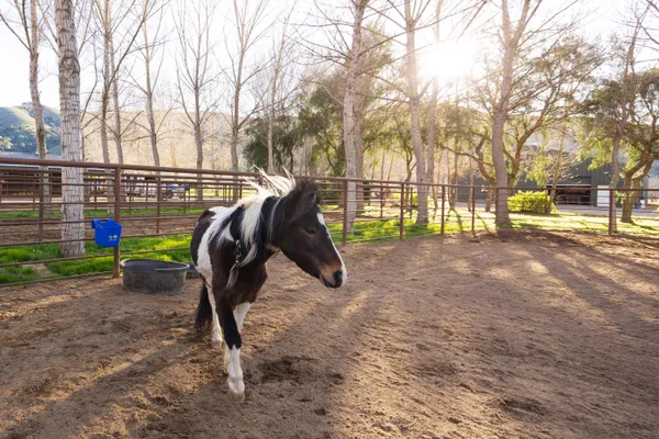 $5,900,000 | 8669 Santa Rosa Road, Buellton, CA 93427