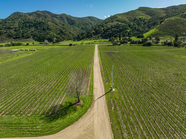 $5,900,000 | 8669 Santa Rosa Road, Buellton, CA 93427