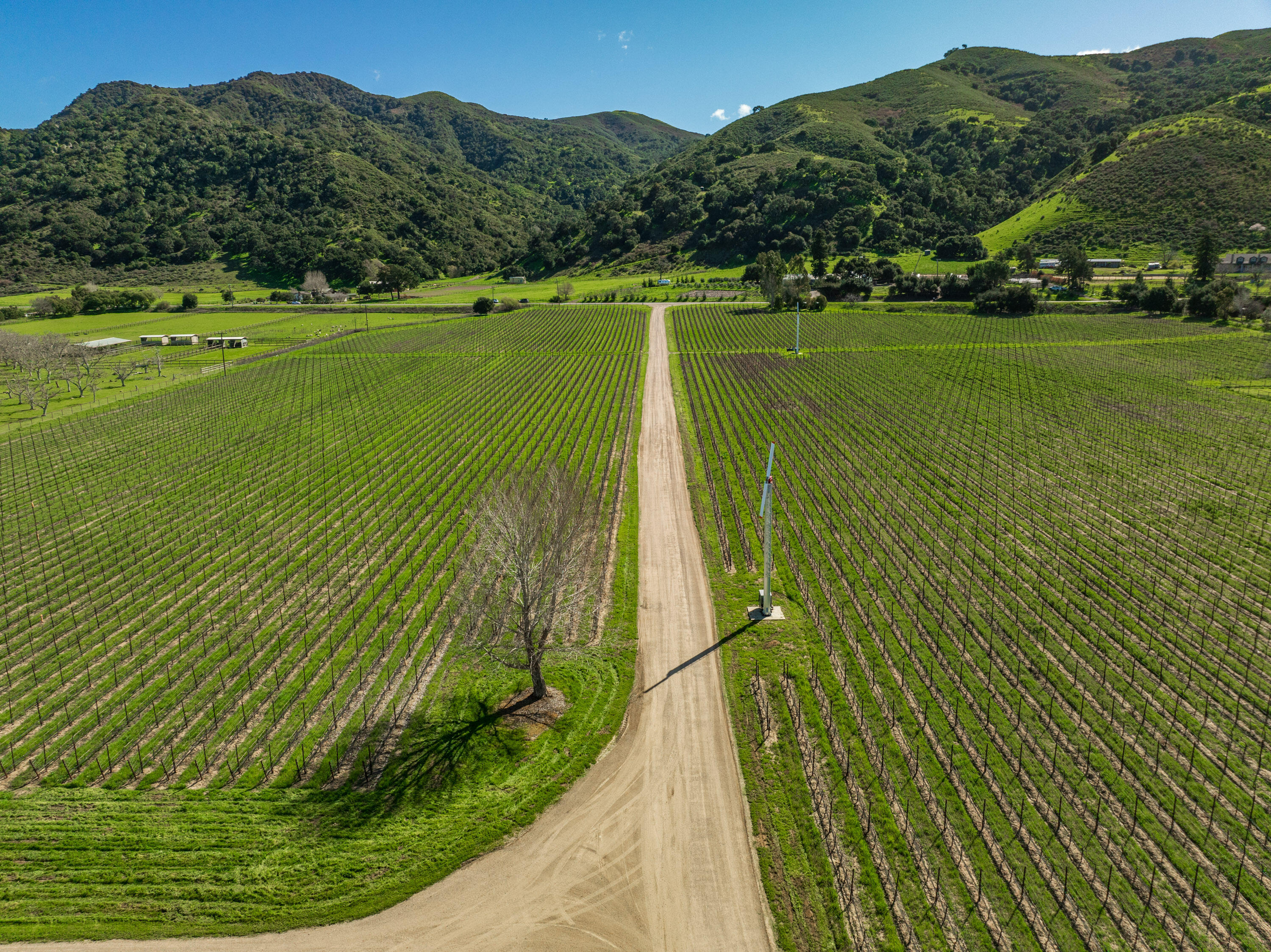 8669 Santa Rosa Road Buellton, CA 93427 - Photo 7 of 53 8669 Santa Rosa Rd Web-53