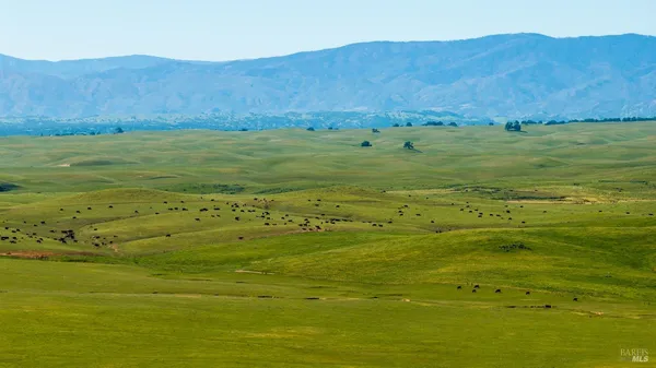 $6,950,000 | 0 Rancho Tehama Road, Corning, CA 96021