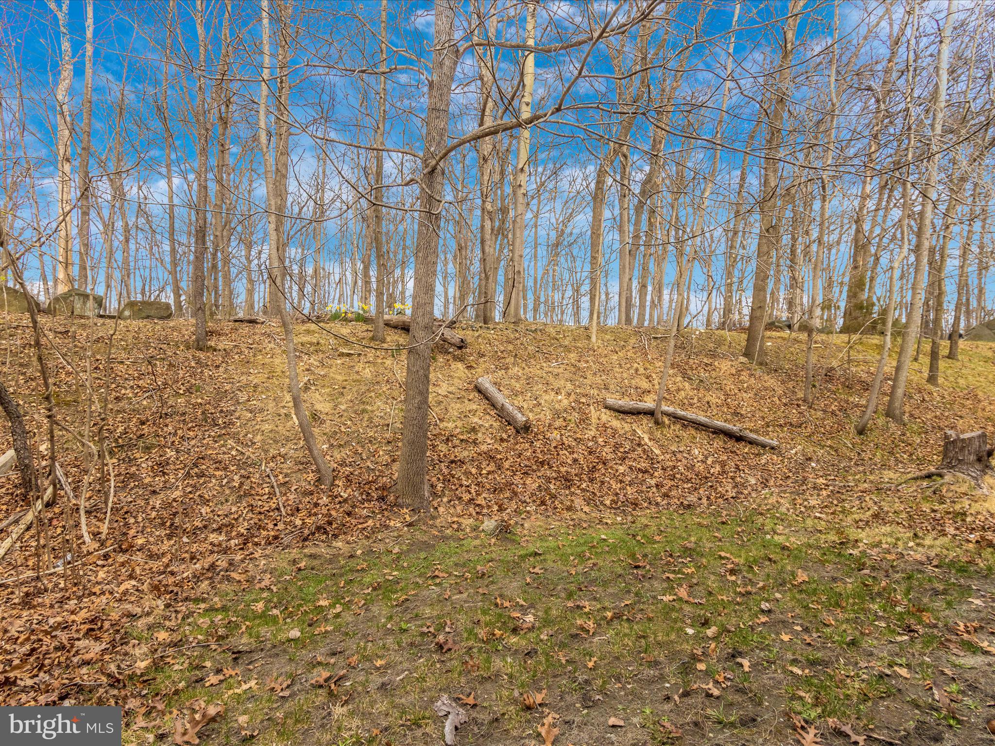 58 Six Notches Court Catonsville, MD 21228 - Photo 51 of 54 Backyard