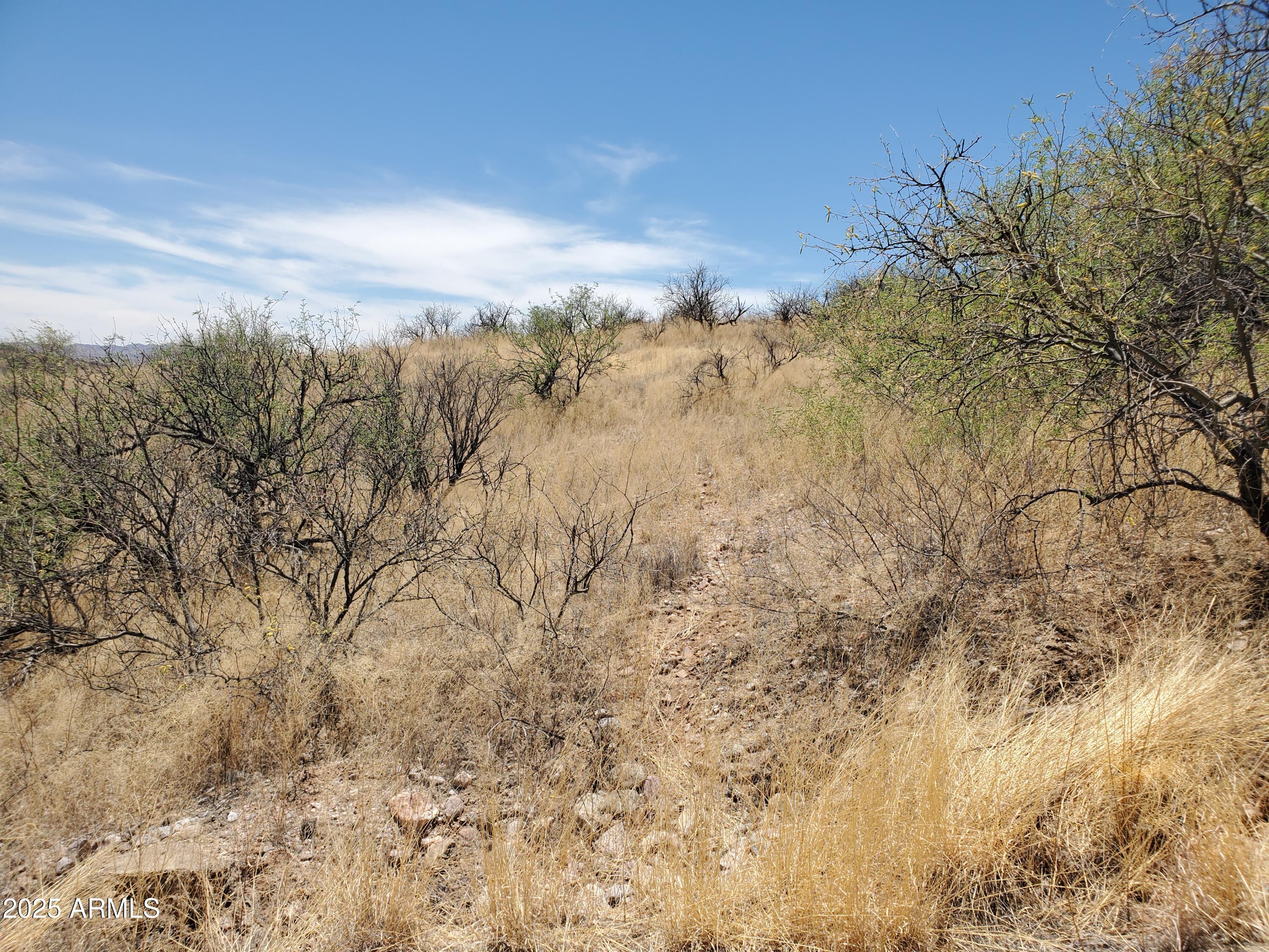 501 Camino Ramanote, Unit 19 Rio Rico, AZ 85648 - Photo 1 of 14 a view of a yard of a building