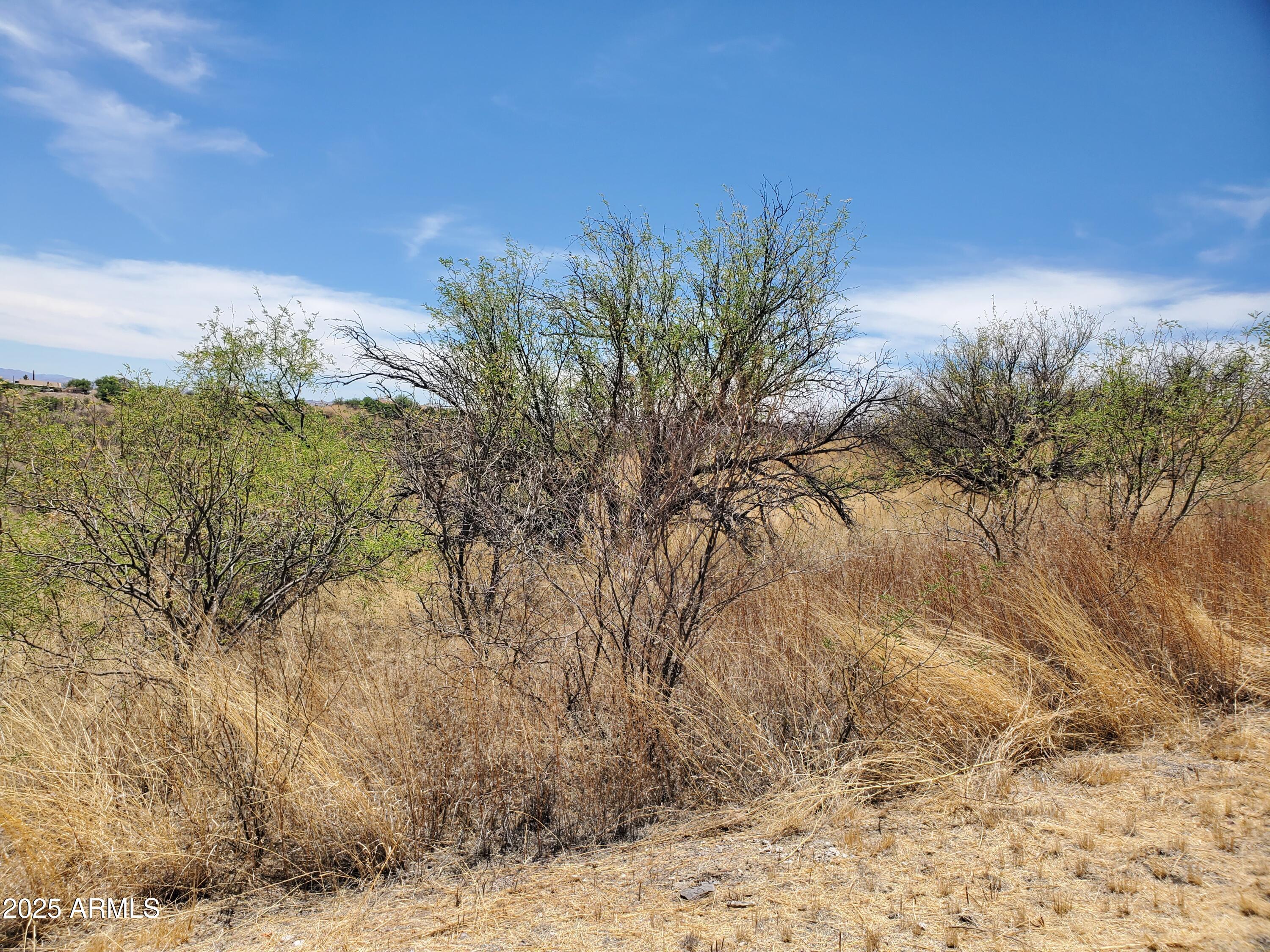 501 Camino Ramanote, Unit 19 Rio Rico, AZ 85648 - Photo 4 of 14 a view of a yard