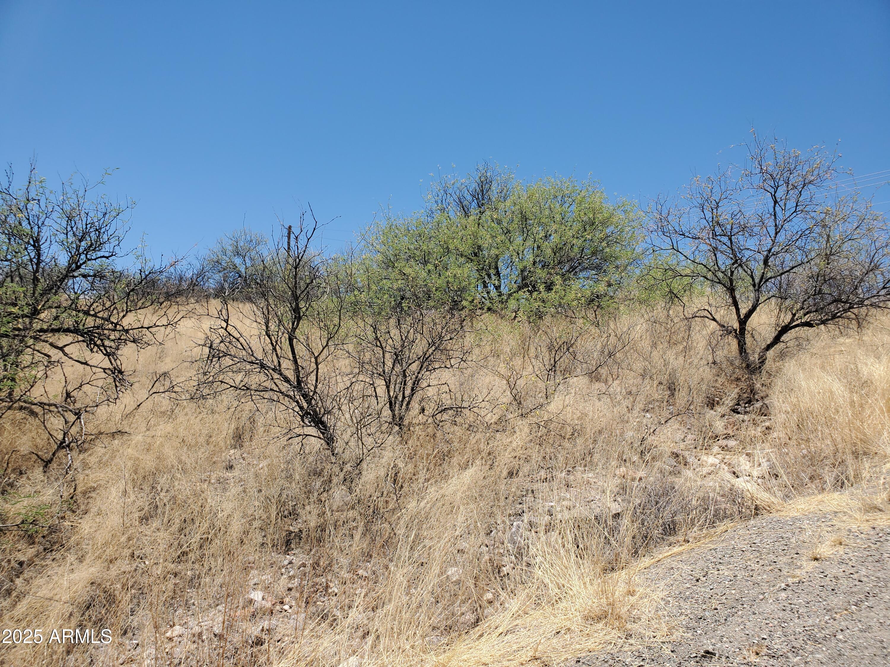 501 Camino Ramanote, Unit 19 Rio Rico, AZ 85648 - Photo 8 of 14 a view of a yard