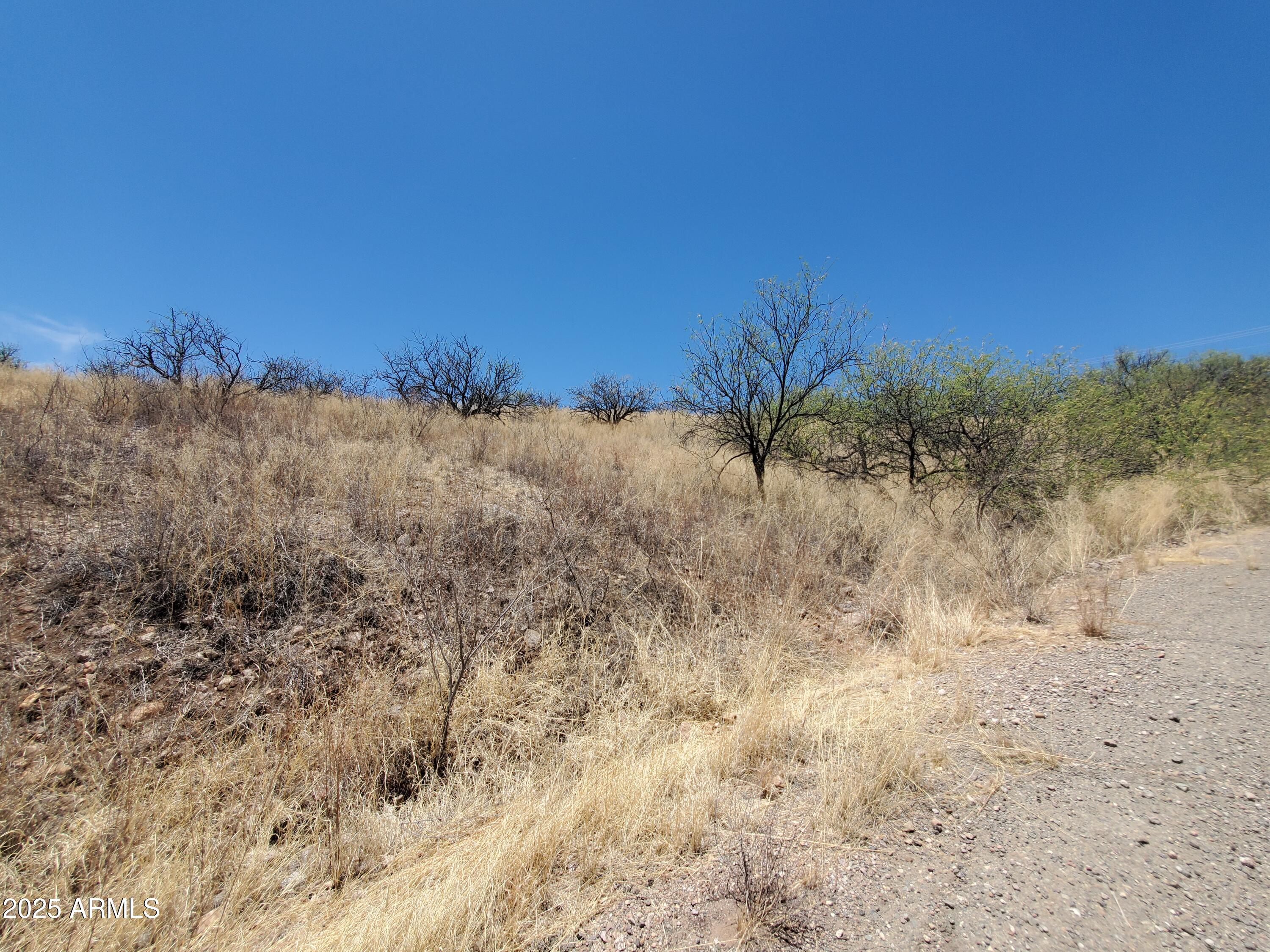 501 Camino Ramanote, Unit 19 Rio Rico, AZ 85648 - Photo 10 of 14 a view of a dry yard with trees