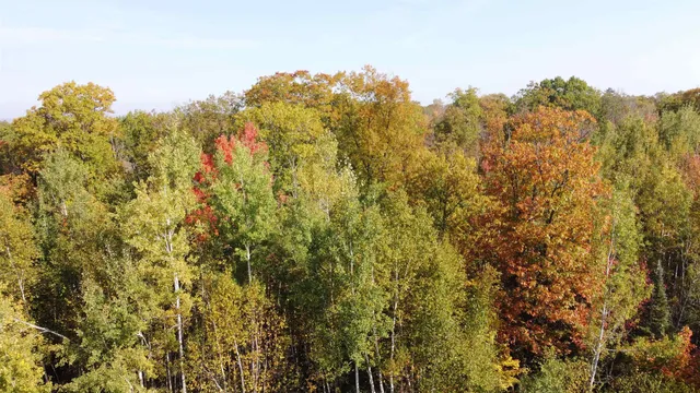 $360,000 | 6870 Point Of Rocks Road, Foxboro, WI 54836