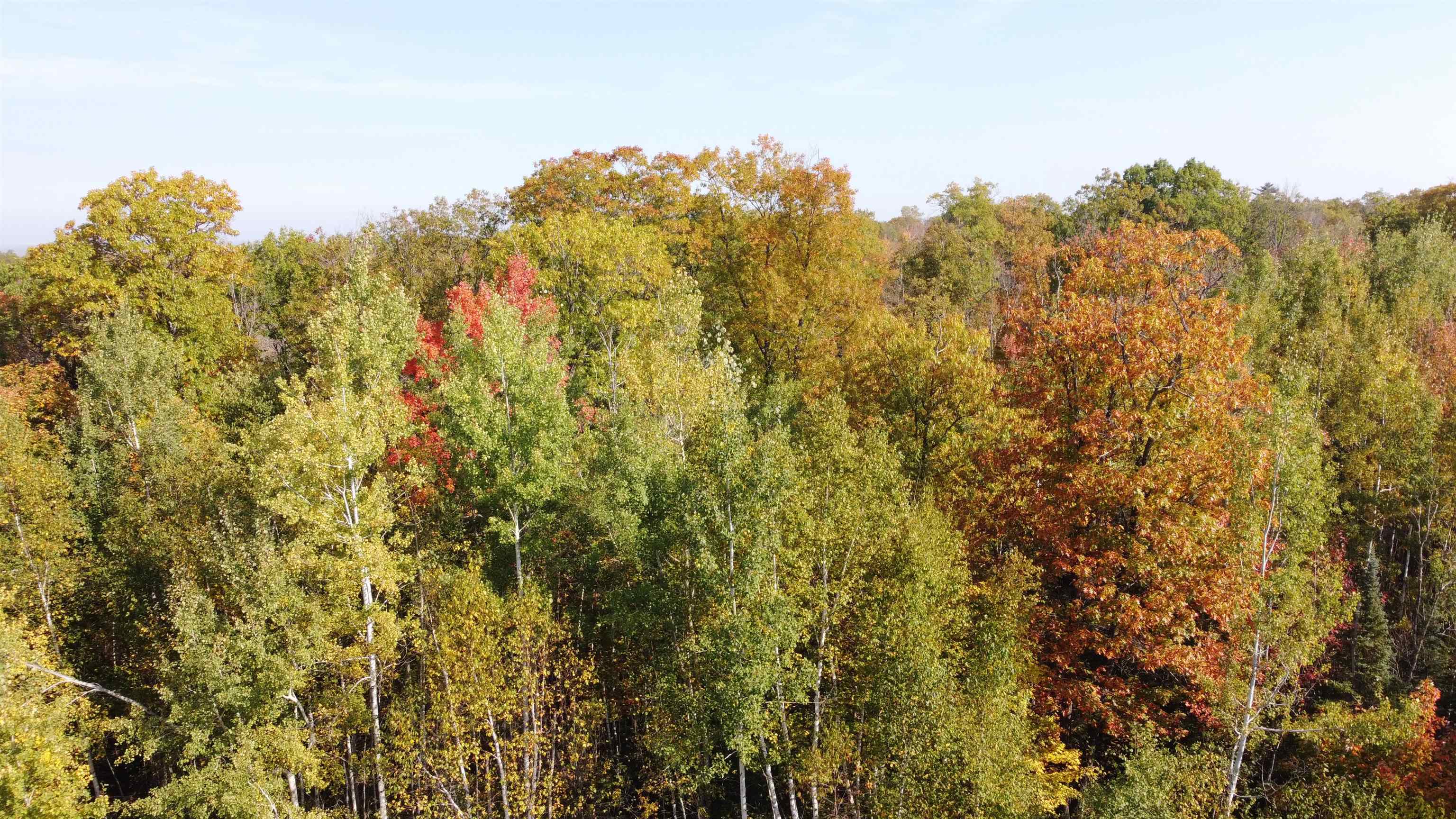 6870 Point Of Rocks Road Foxboro, WI 54836 - Photo 12 of 77