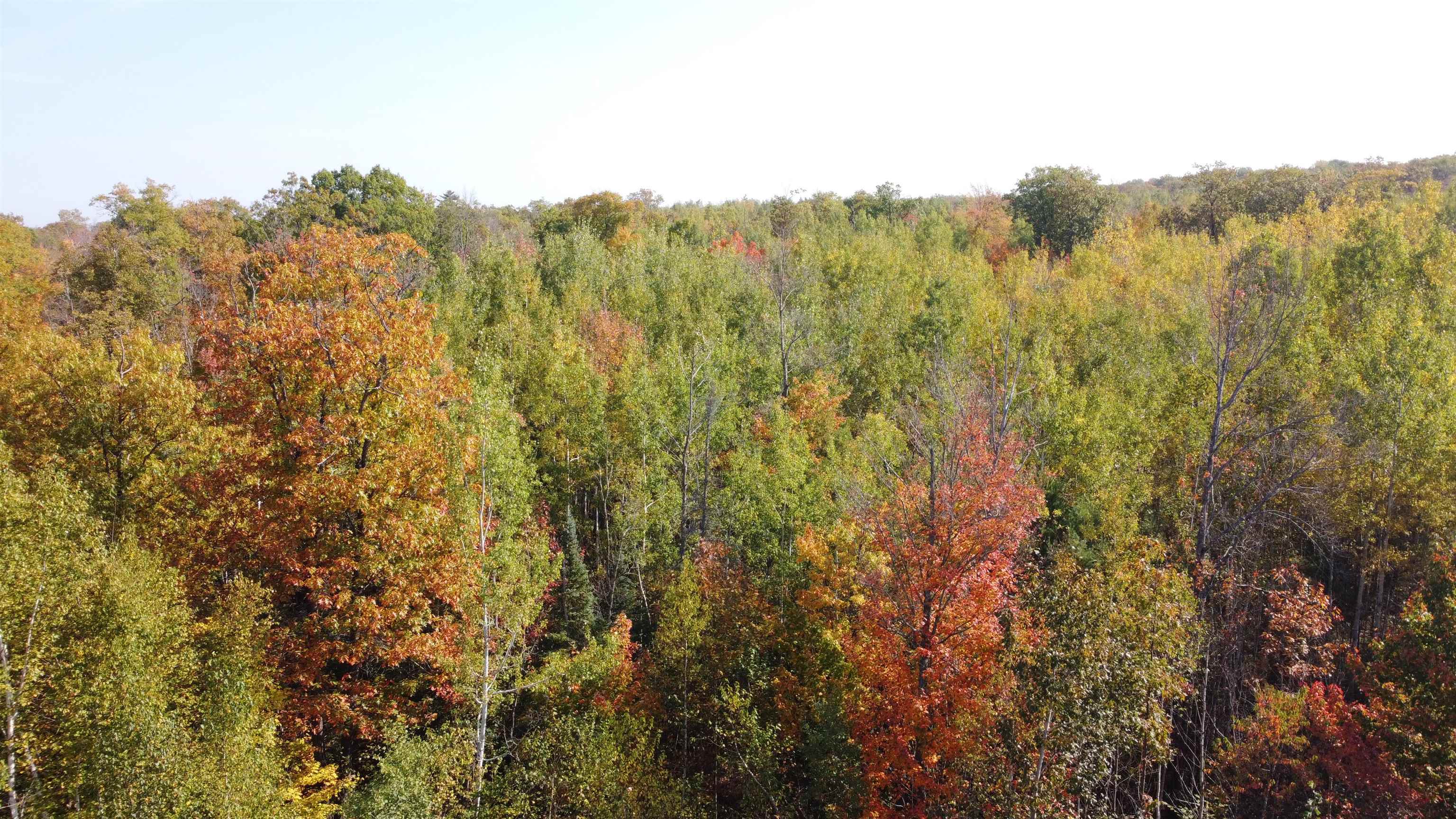 6870 Point Of Rocks Road Foxboro, WI 54836 - Photo 13 of 77