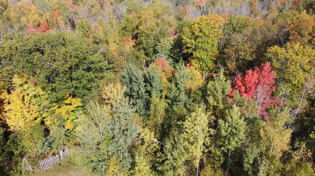 $360,000 | 6870 Point Of Rocks Road, Foxboro, WI 54836