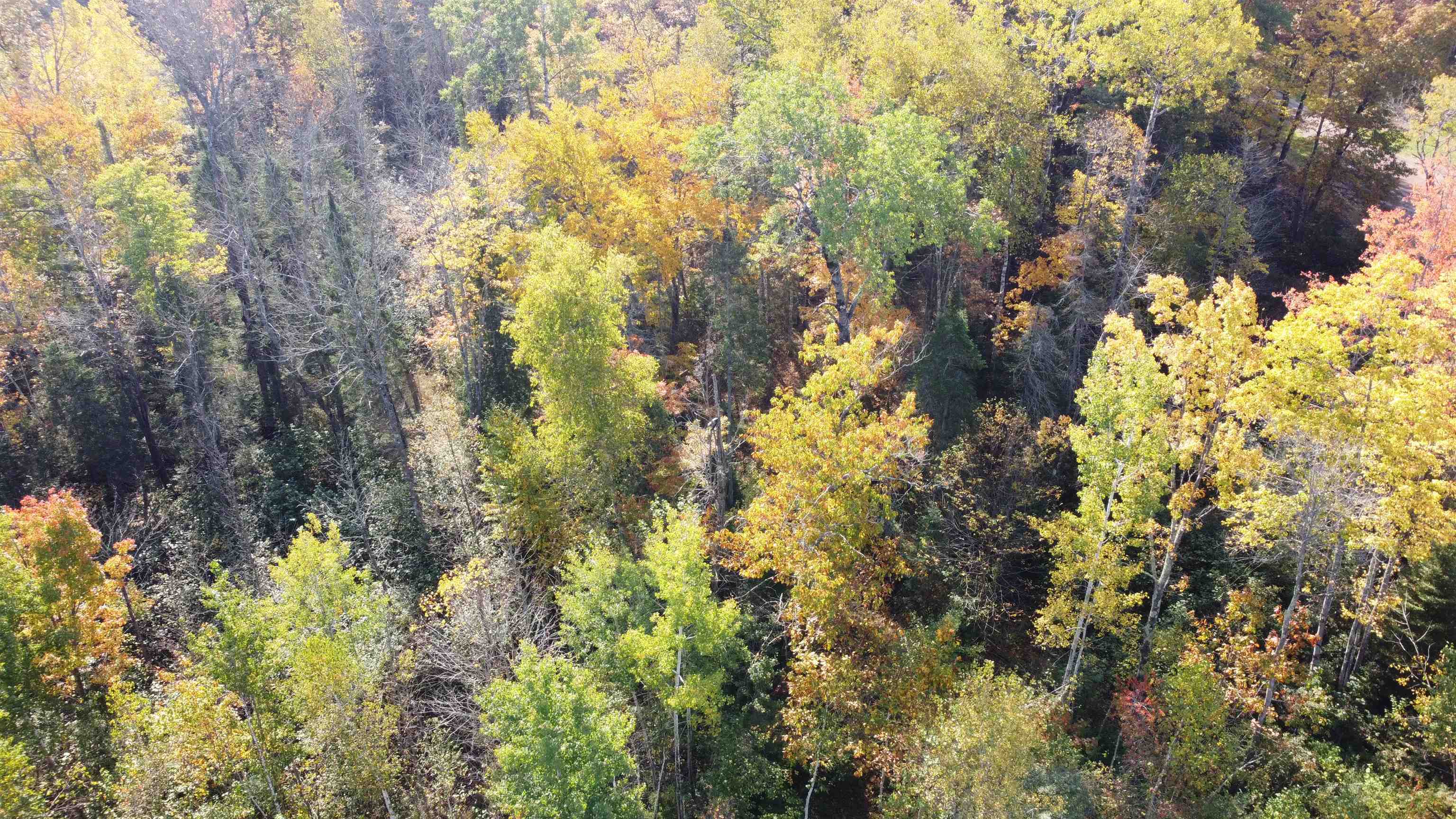 6870 Point Of Rocks Road Foxboro, WI 54836 - Photo 10 of 77