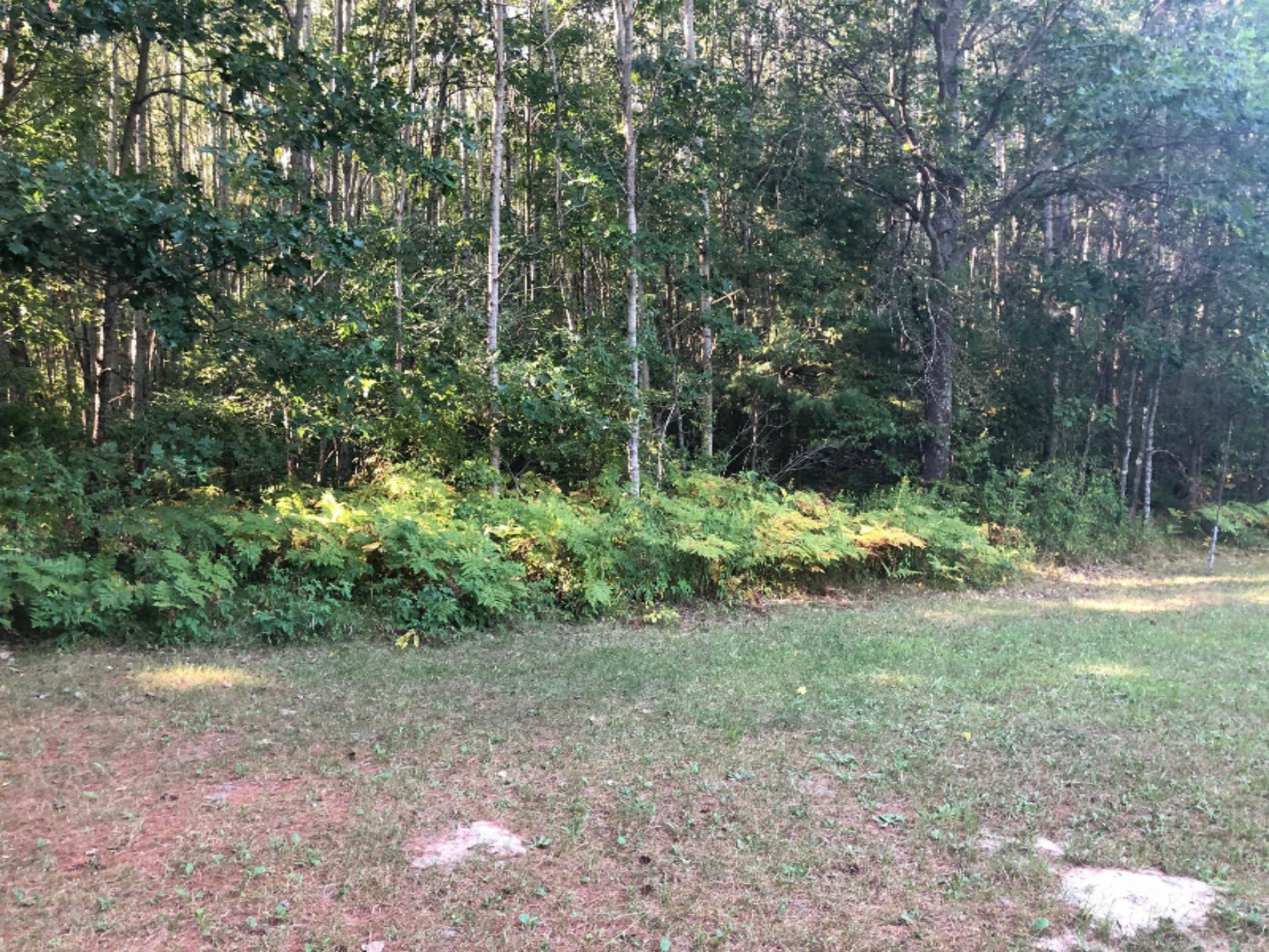 1619 Lanager Road Fountain, MI 49410 - Photo 2 of 18 IMG_8551