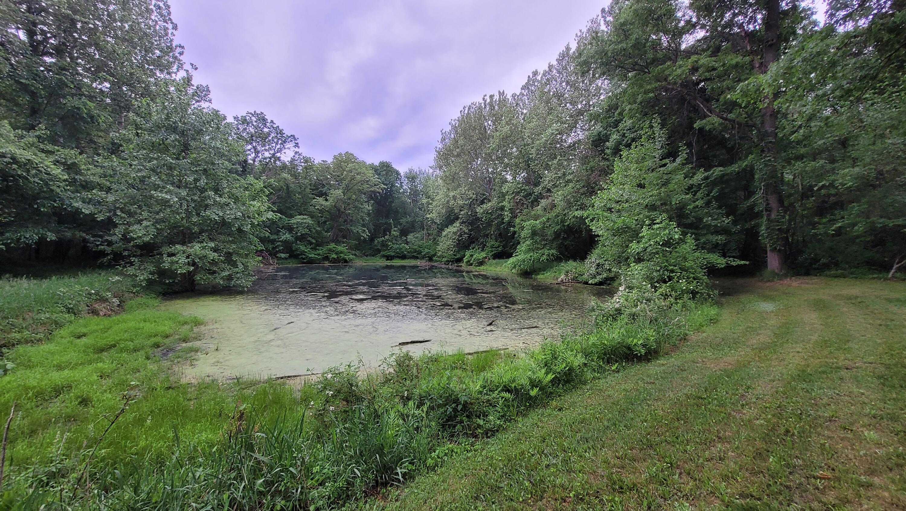 65722 Engle Road Constantine, MI 49042 - Photo 10 of 25 20220602_080033