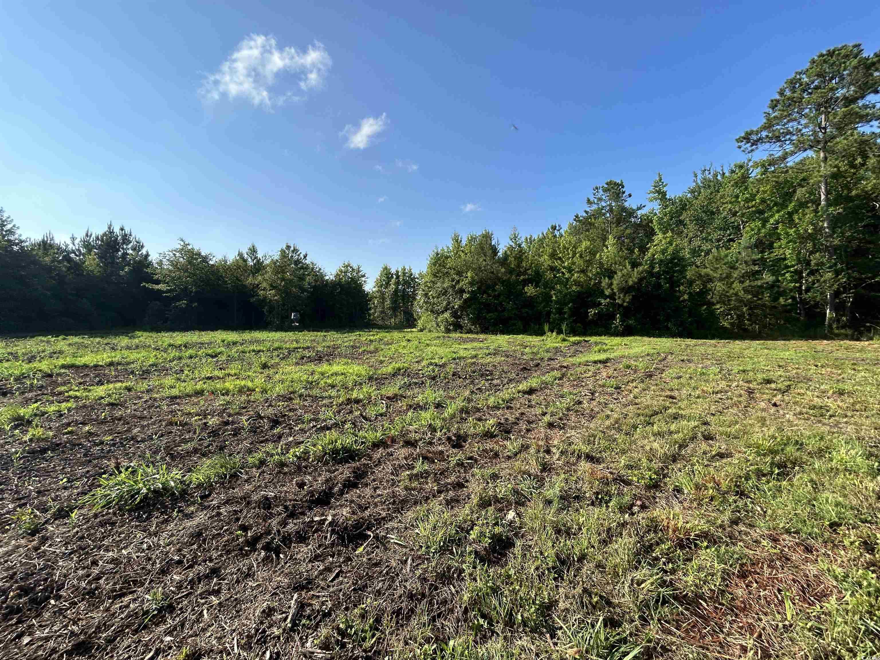 Tbd Pecan Grove Road Hartsville, SC 29550 - Photo 11 of 25 Gallery Image 11