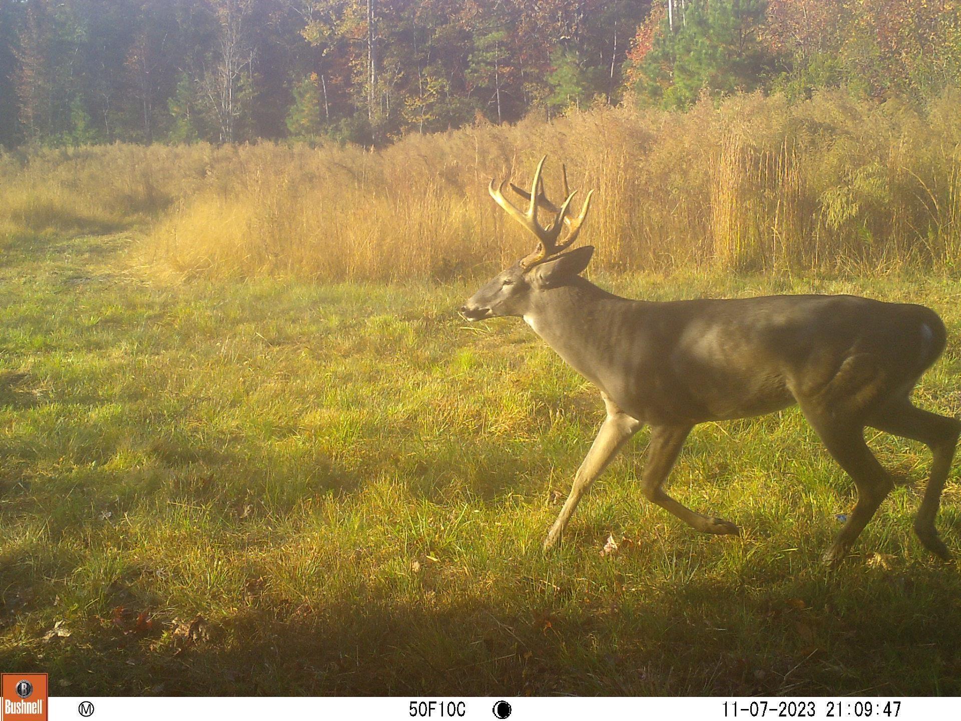 Tbd Pecan Grove Road Hartsville, SC 29550 - Photo 20 of 25 Gallery Image 20