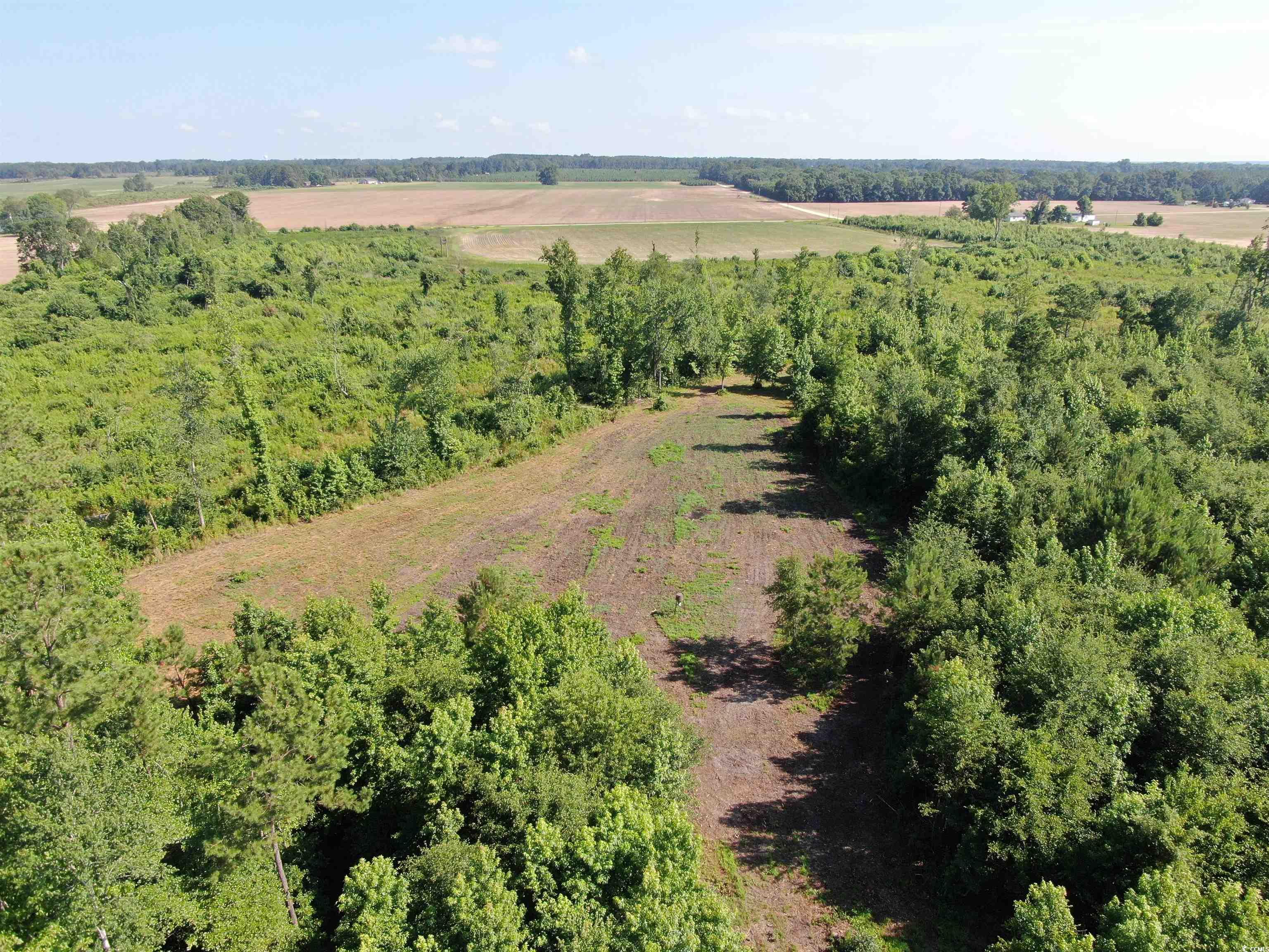 Tbd Pecan Grove Road Hartsville, SC 29550 - Photo 6 of 25 Gallery Image 6