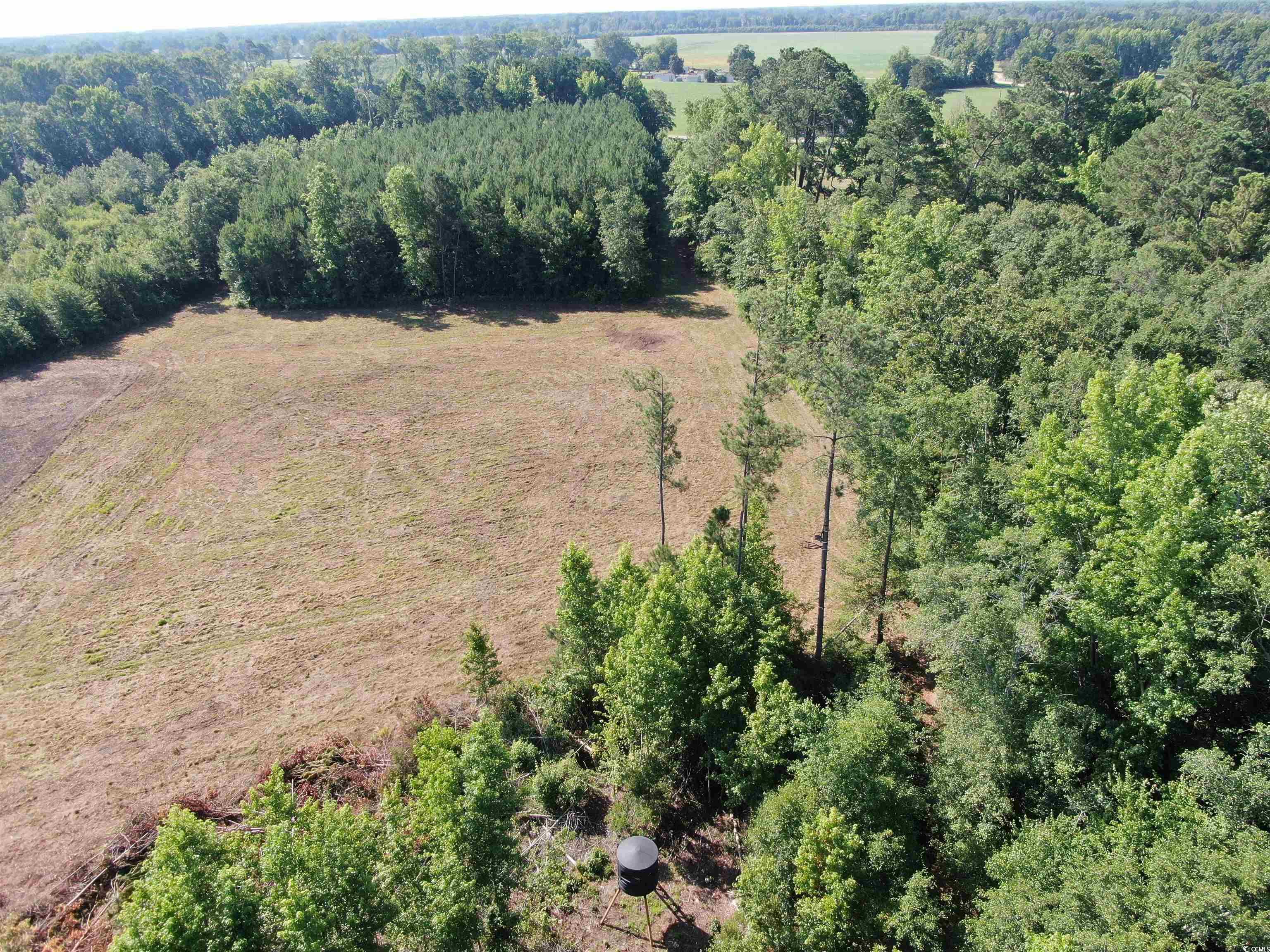 Tbd Pecan Grove Road Hartsville, SC 29550 - Photo 8 of 25 Gallery Image 8
