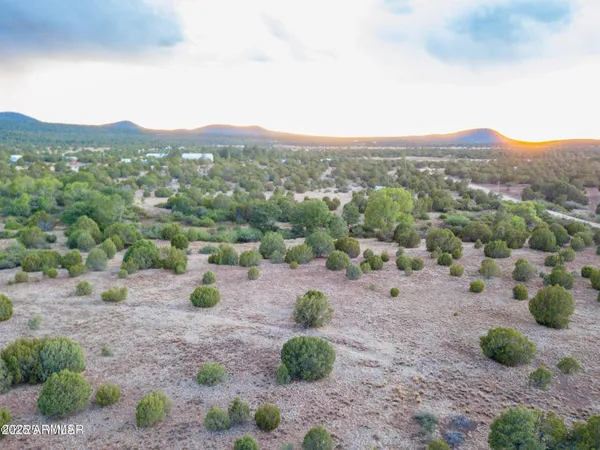 a view of a dry yard with mountain view