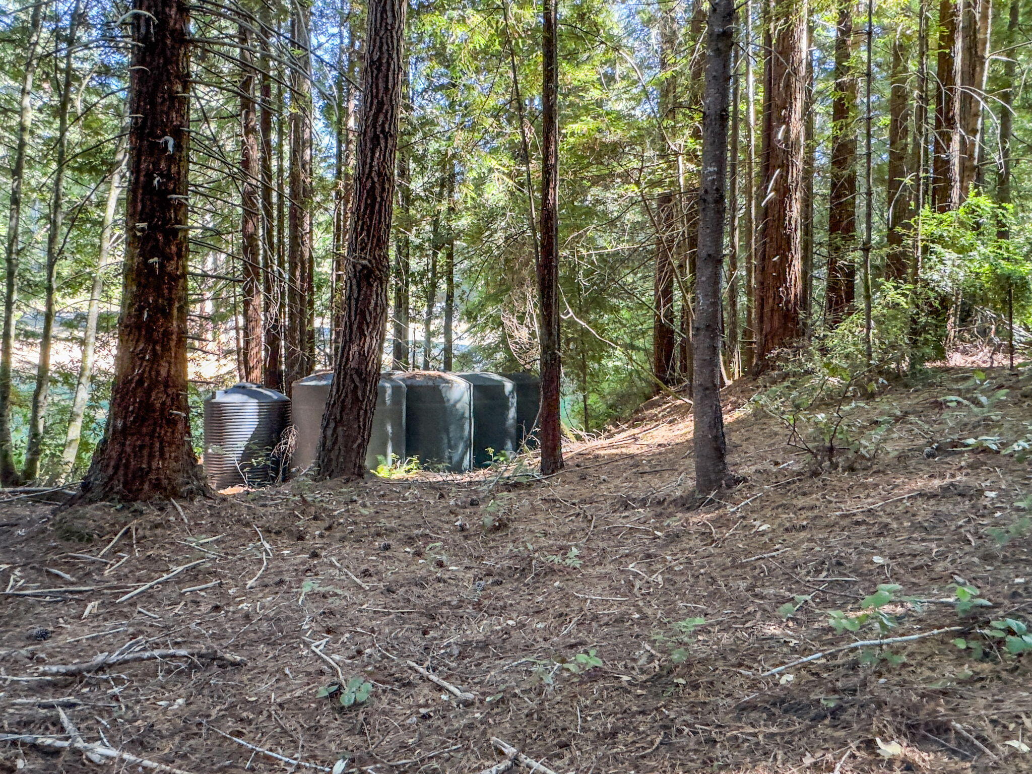 7097 Fickle Hill Road Arcata, CA 95521 - Photo 40 of 43