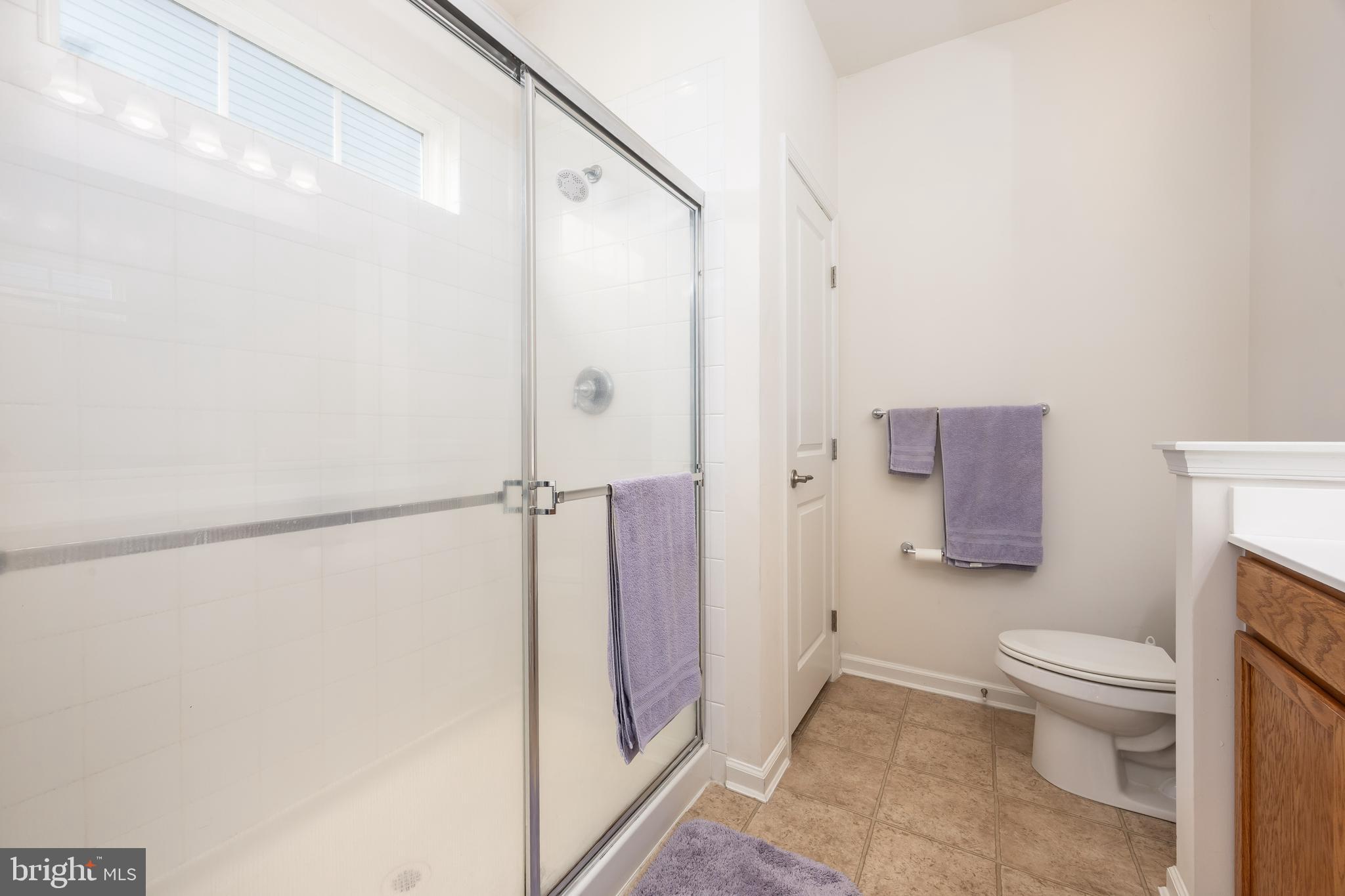 191 Bobbys Branch Road Millsboro, DE 19966 - Photo 23 of 40 a bathroom with a shower toilet and sink