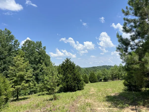 $125,000 | 4200 Shiloh Canaan Road, Palmyra, TN 37142