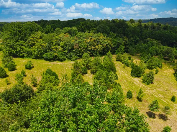 $125,000 | 4200 Shiloh Canaan Road, Palmyra, TN 37142