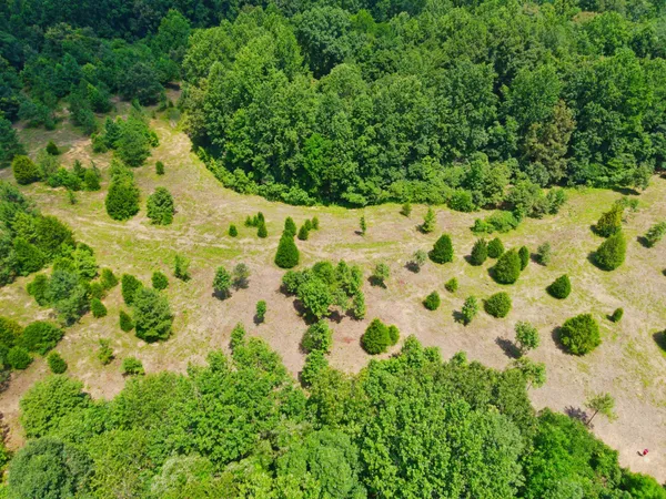 $125,000 | 4200 Shiloh Canaan Road, Palmyra, TN 37142